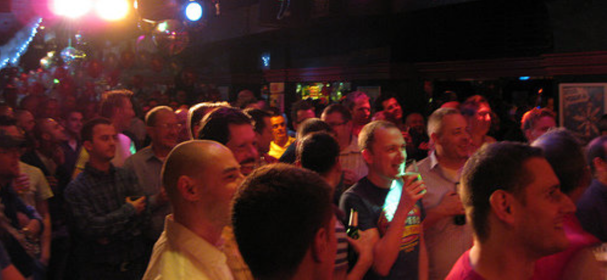 Stag Cruise on Auckland Harbour