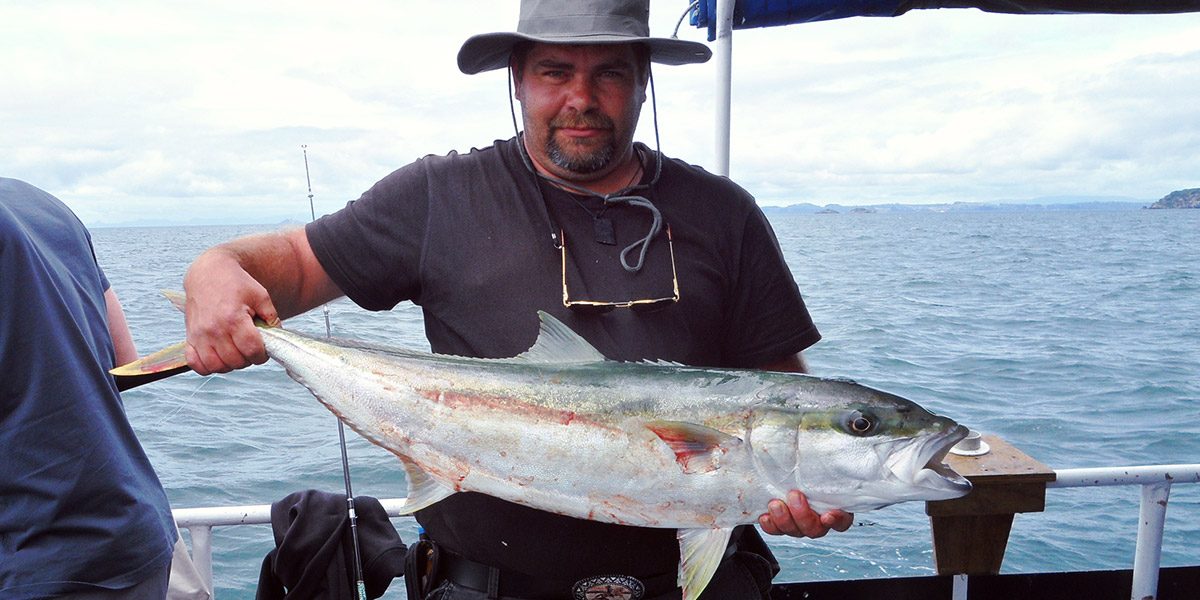 auckland fishing tour
