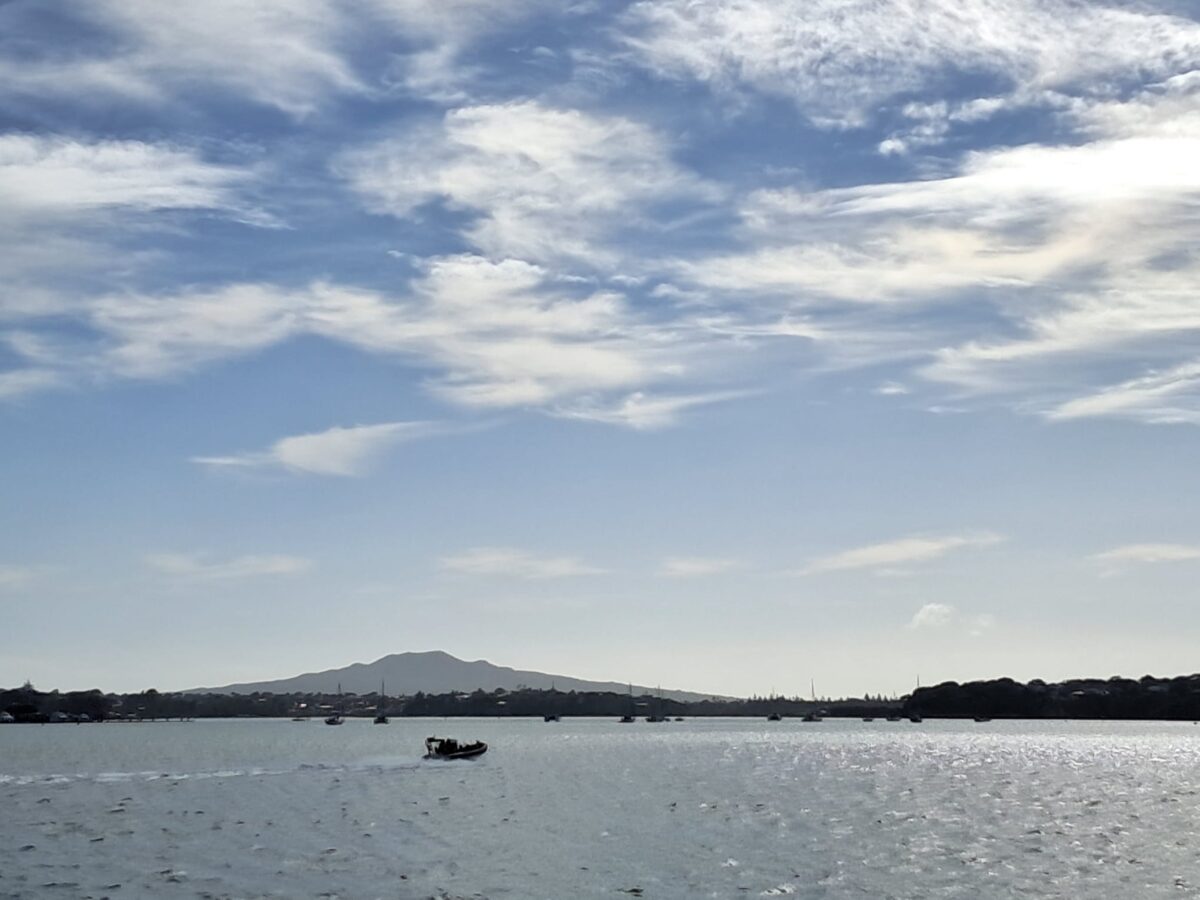 Auckland Harbour Cruise