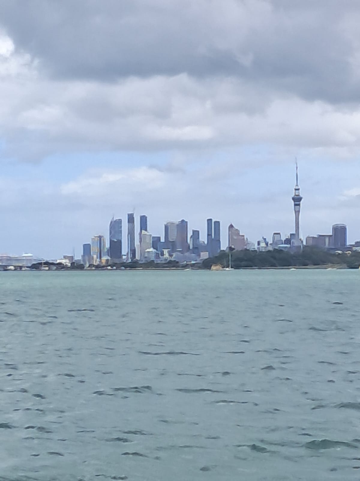 Auckland Harbour Cruise
